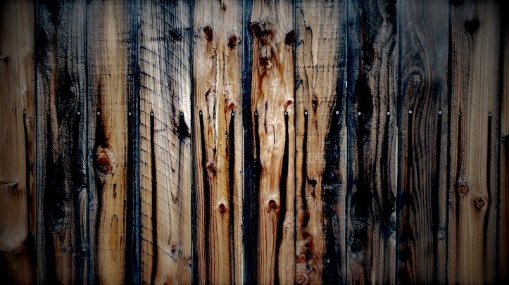 distressed-fence-filmstock